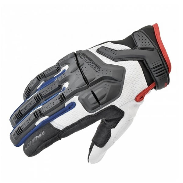 Daisy on the Ohoopee